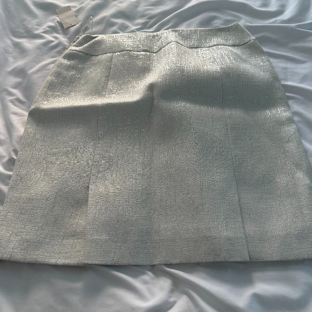 NWT silver white skirt